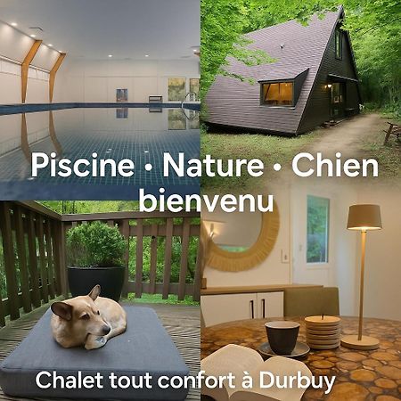 Chalet Sequoia 138 A دربي المظهر الخارجي الصورة